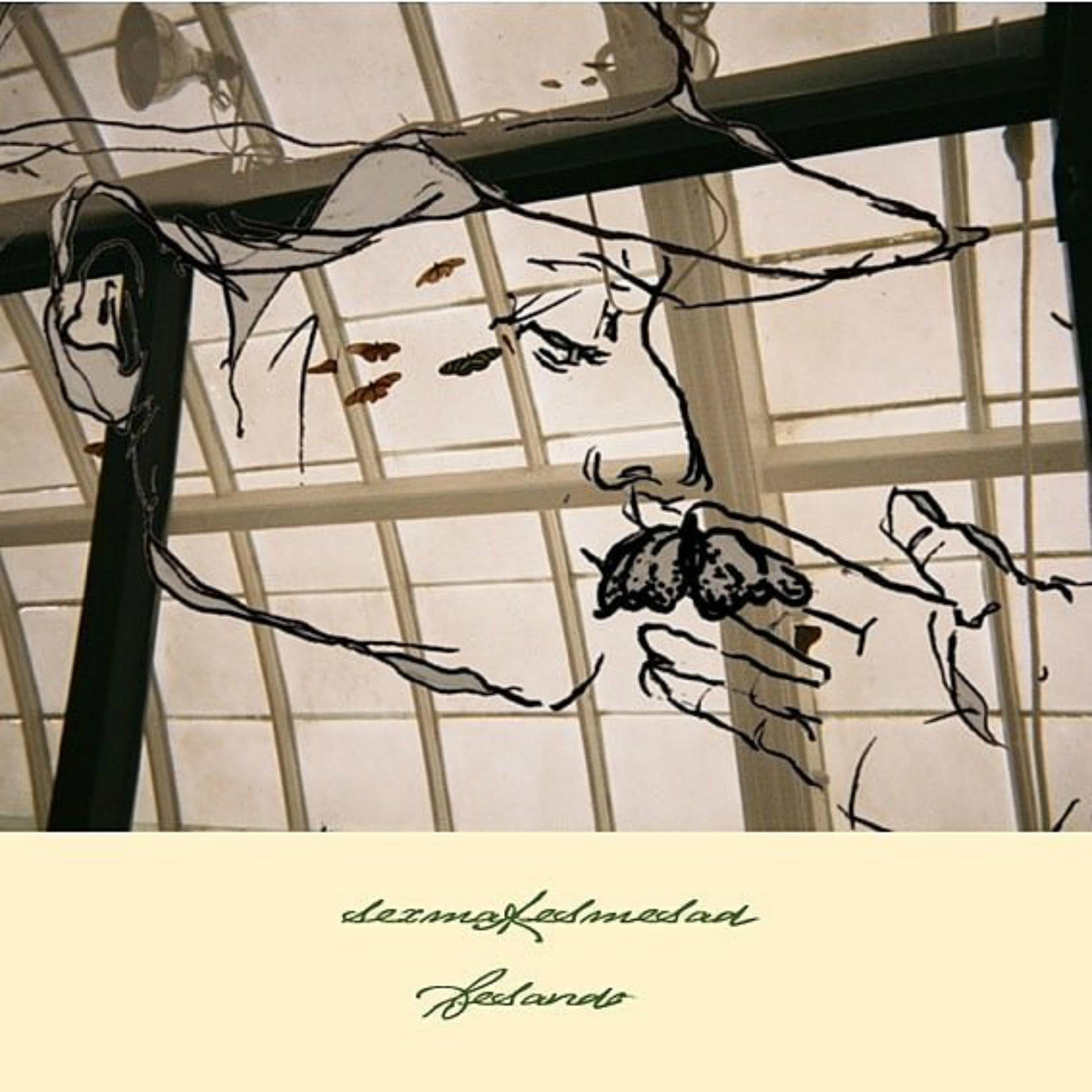 Sex Makes Me Sad & Besando Split - EP