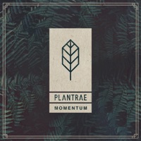 Momentum - Single - Plantrae