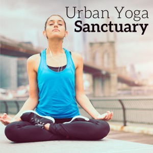 Urban Yoga Sanctuary: Center of Inner Vibes, Modern Yoga, Exercises at the City, Meditation in Town Park, Contemplation on the Rooftop
