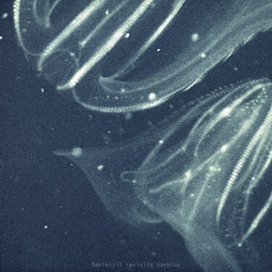 Daniel[i] Revisits Saebius - EP