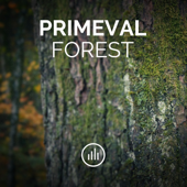 Primeval Forest
