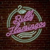 Billy Flamingos