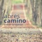 Abres Camino (Way Maker) - Omar Oropesa lyrics