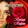 Rosas Rojas, 2018