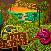 Irie State of Mind artwork