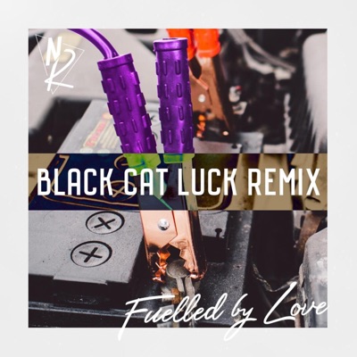 Fuelled by Love (Black Cat Luck) [Remix] - Single