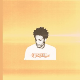 Quicksand Mike Holmes