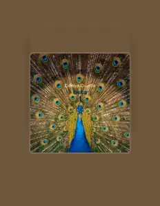 Listen to Deme Durde, watch music videos, read bio, see tour dates & more!