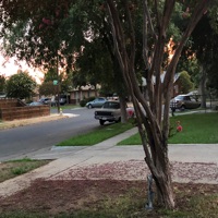 Sometimes (feat. Yung Henny) - Single - Vague