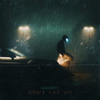 Don't Let Go - Single