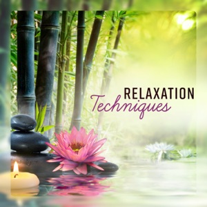 Relaxation Techniques - 30 Deeply Relaxing Tracks to Reduce Everyday Stress: Peace of Mind