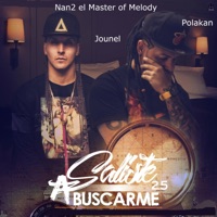 Saliste a Buscarme 2.5 (feat. Polakan & Jounel) - Single - Nan2 el Master of Melody