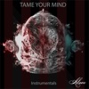 Tame Your Mind (Instrumental Version) - Single