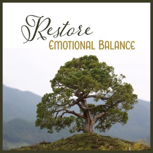 Restore Emotional Balance – Mental Coaching, Keep Up Your Inner Vibration, Breath of Freedom, Develop Resilience for Stress