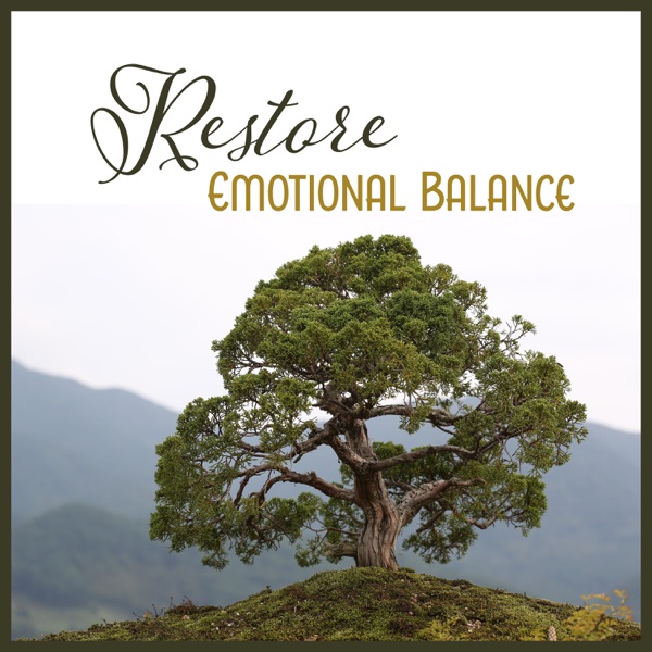 Restore Emotional Balance – Mental Coaching, Keep Up Your Inner Vibration, Breath of Freedom, Develop Resilience for Stress