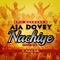Aja Dovey Nachiye (Desi Mix) [feat. Bakshi Billa] - Epic Bhangra lyrics