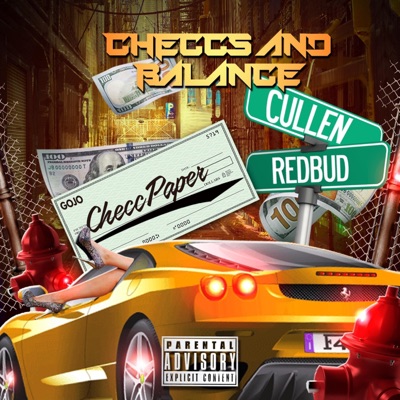 Checcs and Balance