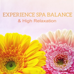 Experience Spa Balance & High Relaxation: Mental Care, Wonders of Wellness, Emotional Quest