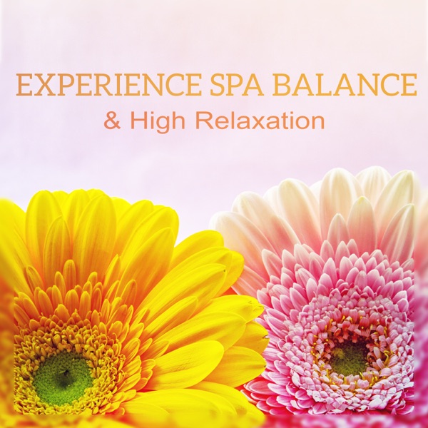 Experience Spa Balance & High Relaxation: Mental Care, Wonders of Wellness, Emotional Quest