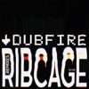 RibCage (Remixes) - EP