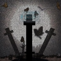 Fly Beautiful Butterfly - Single - Cat & Shorty V