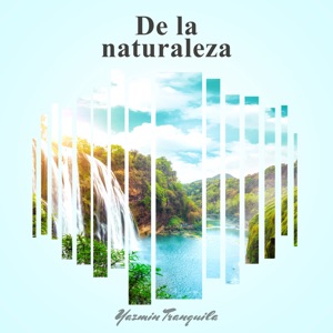 De la Naturaleza