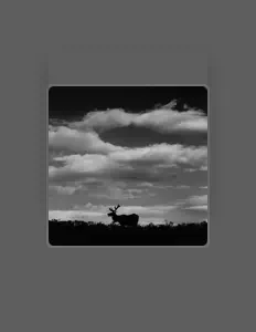 Miwa Yonashiro: песни, клипы, биография, даты выступлений и многое другое.