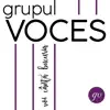 Grupul Voces - Laolalta