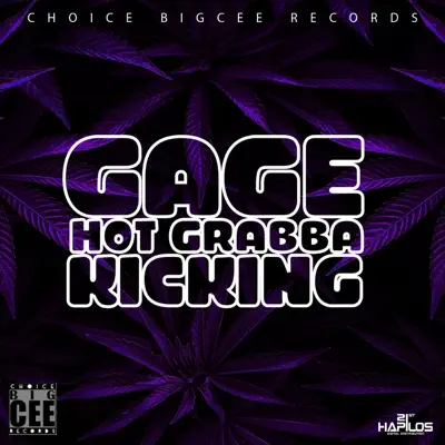 Hot Grabba Kicking - Single - Gage