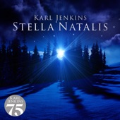 Stella Natalis: XII. Jubilate Deo artwork