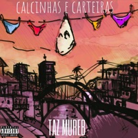 Calcinhas e Carteiras - Single - Taz Mureb