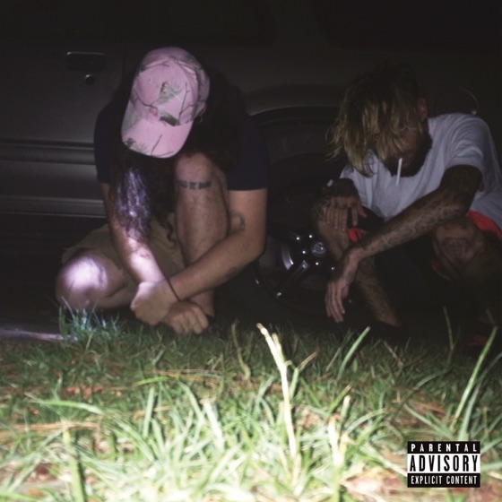 Cover artwork for Fold