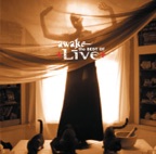 Lightning Crashes