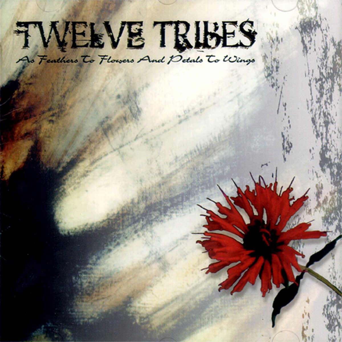 Песня Flowers to me. Tribe twelve