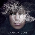 The Beauty Of A Rose