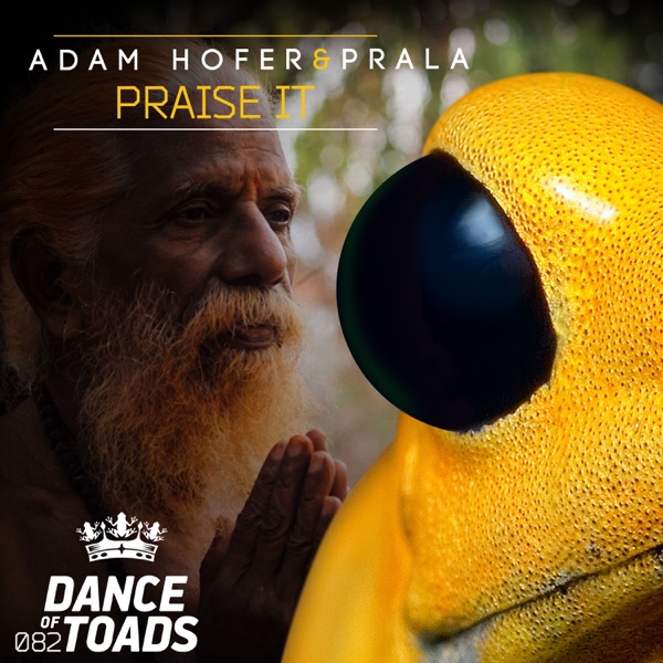 Praise It - Single