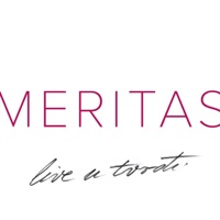 Live U Tvrđi - Meritas