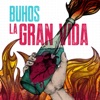 Buhos - Volcans