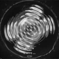 Paradigm - Single - Rhadow