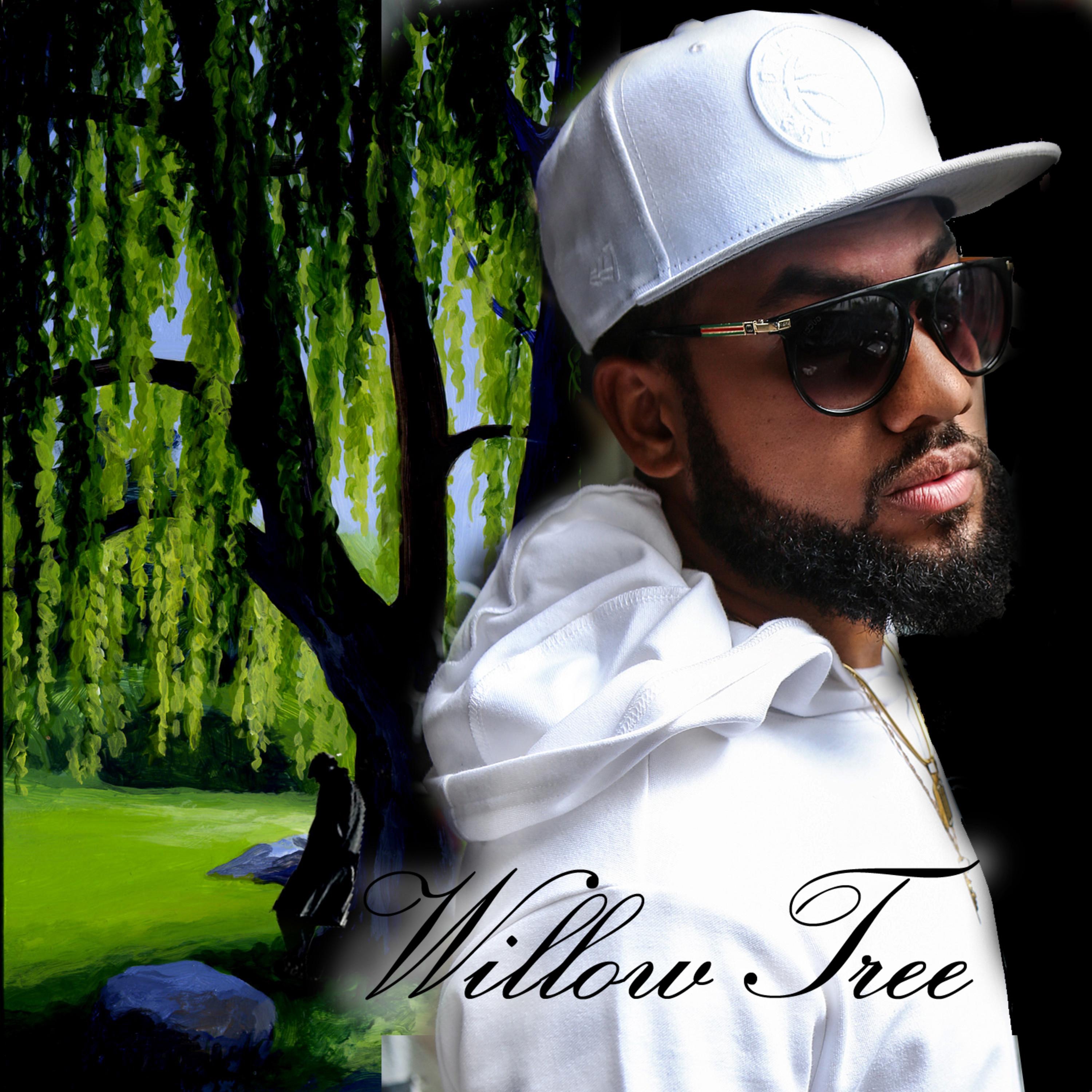 Willow Tree (feat. Tae Fernand) - Single