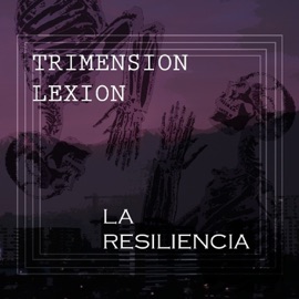 Mi Vida Se Va Trimension Lexion & Richy Riesgo