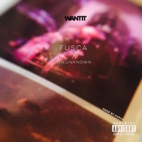 Want It (feat. Fusca) - Single - THEVNKNOWN