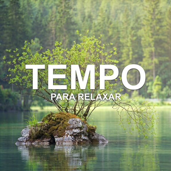 Tempo para Relaxar: 120 Minutos de Relaxamento, Sons Incríveis para Aliviar o Estresse, Ambiente para Spa e Meditação