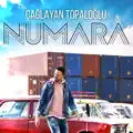 Numara
