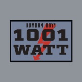 1001 Watt artwork