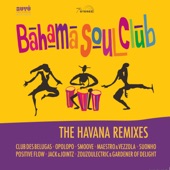 The Havana Remixes artwork