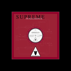 SIN 15 - Single