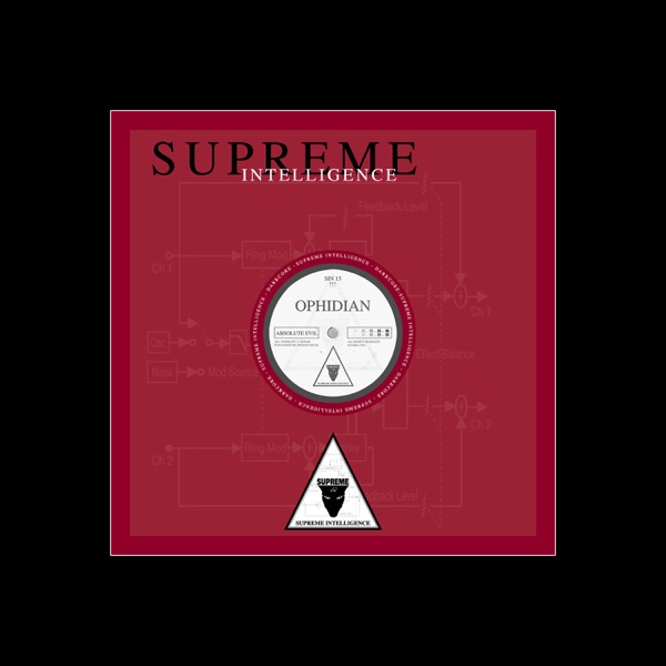 SIN 15 - Single