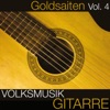 Volksmusik Gitarre: Goldsaiten, Vol. 4