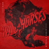 Wild Horses artwork